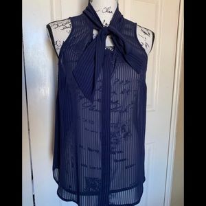 A New Day Blue Sheer Sleeveless Blouse